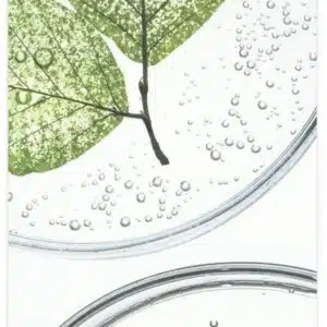 dbd26aa85071e67137cd7311ef97d915b478a39be0e79a28aa72e4493fd210f8