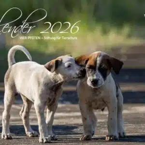 2026-kalender_deckblatt-web