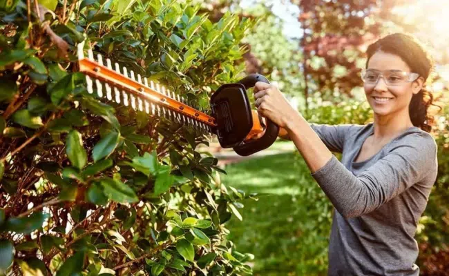 Akku-Heckenschere Worx WG260E.5 18V