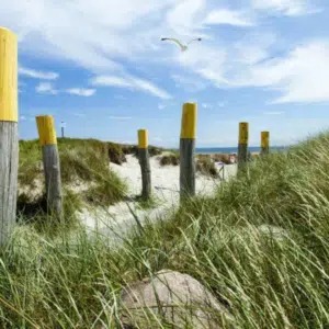 Thumbnail 🤫 Fehmarns bestgehütetes Geheimnis: 4-Sterne Luxus in der 1. Strandreihe für unter 60€