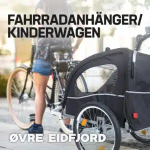 EID-4-6-Fahrradanhanger6QVvXohV3uav1