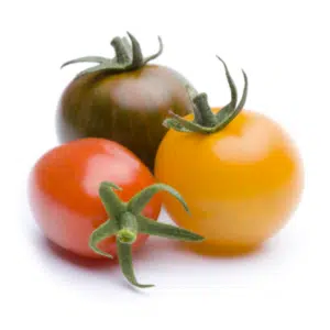 Screenshot_2026-03-25_192506