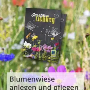 Screenshot_20260309_141152_Samsung_Internet