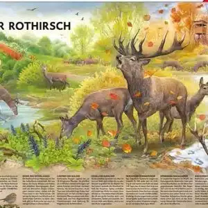 14e046_c576b76438e44ced9e777bf24334bd8cmv2