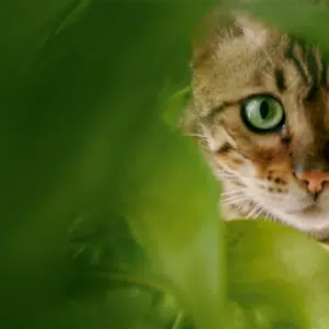 240703_CB_Produkttester_Banner-1920x600