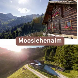 Thumbnail 🛖 1 ÜN in der Mooslehenalm by Grossarler Hof inkl. BF ab 59€ p.P.