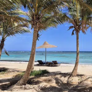 Thumbnail 🏜️ 7 Nächte Ägypten im Mangrove Bay Resort inkl. VP für 469€ p.P.