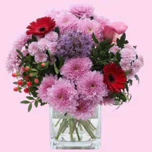 Thumbnail Blume Ideal: „Mamas Liebling“ Blumenstrauß für 29,48€ – rechtzeitig vor Muttertag liefern lassen! 😍