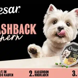 Cesar
