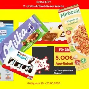 Nettogratis6