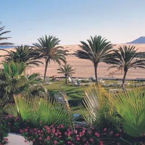 Thumbnail 😍 Was für ein Traum! 🌅 1 Woche Fuerteventura mit All Inclusive ab 491€ p.P