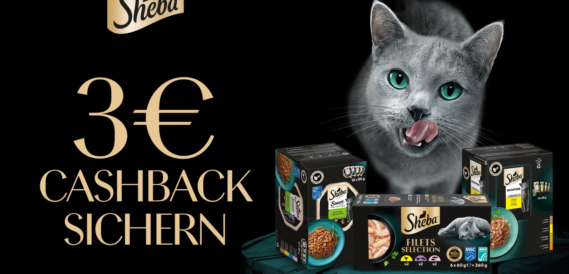 Sheba Cashback Aktion: Im Bild eine Katze zwischen mehreren Multipacks Sheba Katzenfutter vor schwarzem Hintergrund
