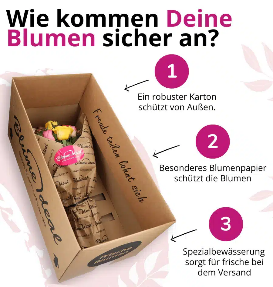 Versanddetails von Blume Ideal mit der Verpackung