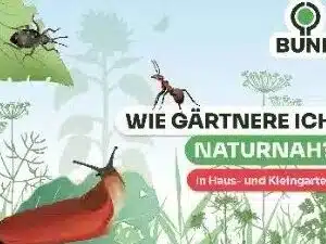 der-bund-broschuere