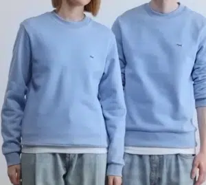swearer