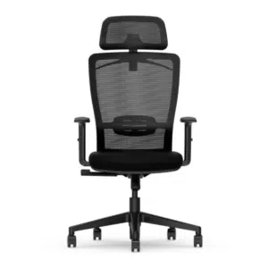 Thumbnail 20€ Ersparnis: FlexiSpot BS3 ergonomischer Bürostuhl mit 2D-Kopfstütze, dynamischer Lendenwirbelstütze, verstellbaren Armlehnen & Kleiderbügel für nur 79,99€! 🧑‍💻