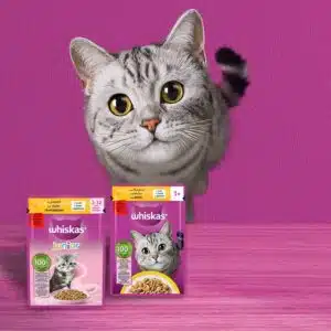 get-a-free-sample-hero-DE