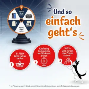 Beitragsbild_DD_Jaci_-_2026-09-21T121941.765