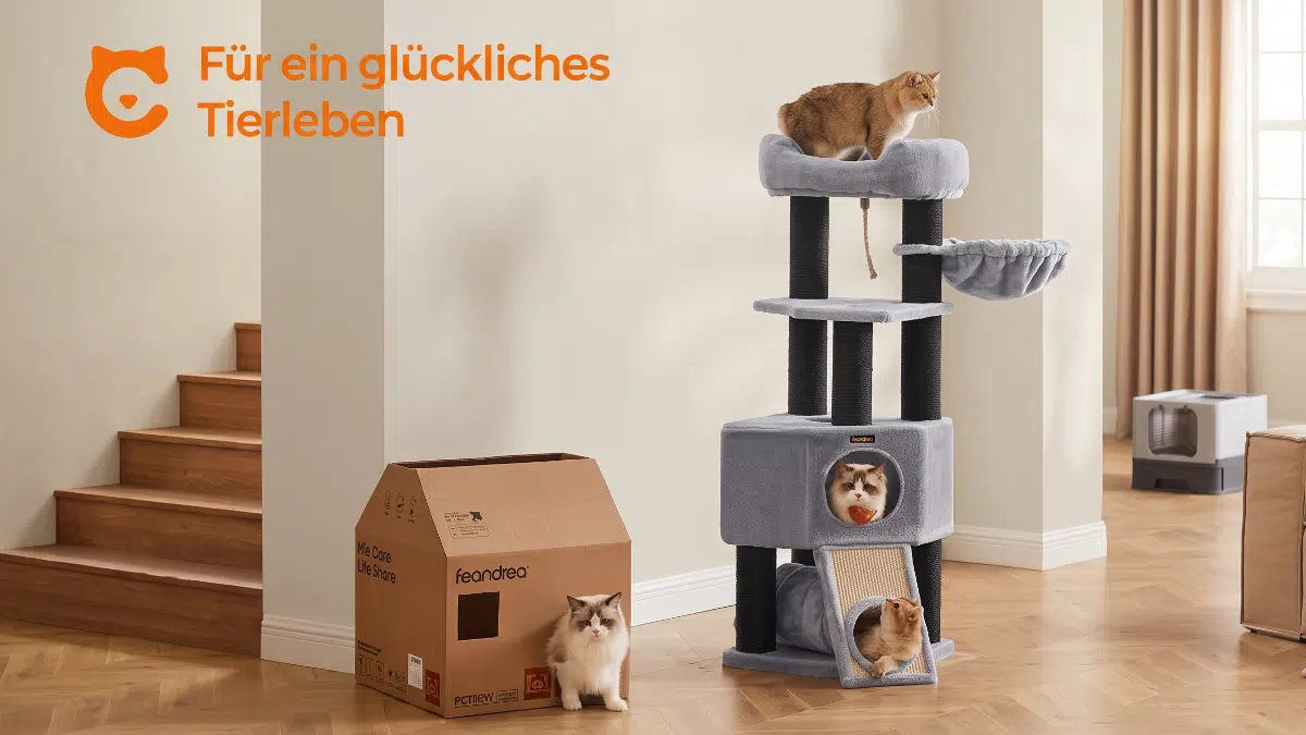 Feandrea_Kratzbaum_dicke_Staemme_141cm_Bannerbild