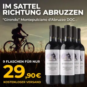 9 Flaschen Girondo Montepulciano d'Abruzzo DOC 2025