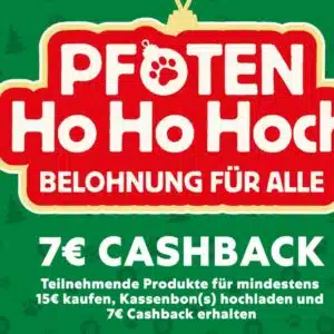 Pfoten