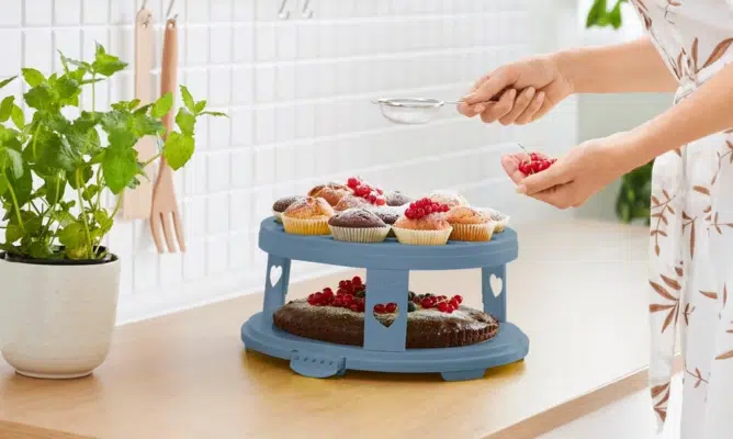Kuchentransportbox mit Trays Rotho Fresh