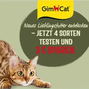 gimcat