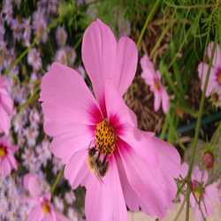 Profilbild von 71Claudia71