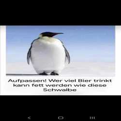 Profilbild von DrHousePB