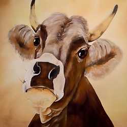 Profilbild von bd18703