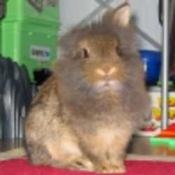 Profilbild von Knuwe