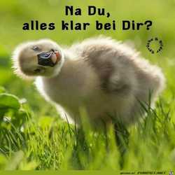 Profilbild von claro