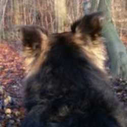 Profilbild von Peter
