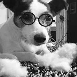 Profilbild von Hucky