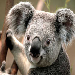 Profilbild von Lucky17