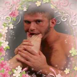 Profilbild von Vecos