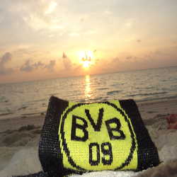 Profilbild von RafaelB89!
