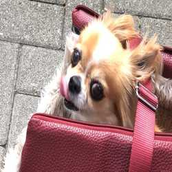 Profilbild von Pfeffi1