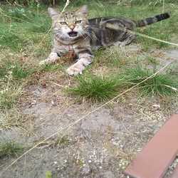 Profilbild von Missy95