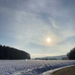 Profilbild von Babet