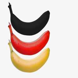 Profilbild von Nesselschmidt