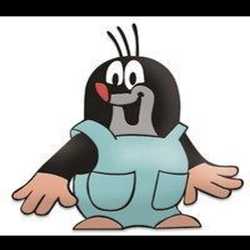 Profilbild