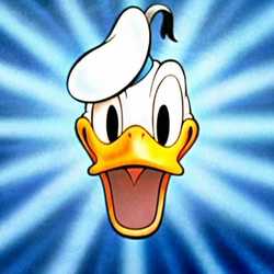 Profilbild von speed900
