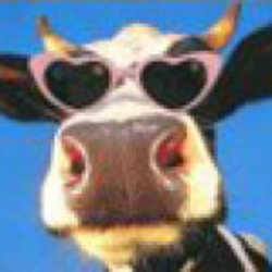 Profilbild von pyrol