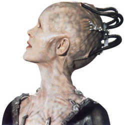 Profilbild von Cybertom3000