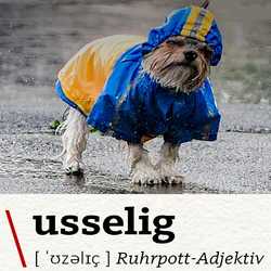 Profilbild von kohlenpottjung