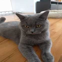 Profilbild