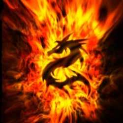 Profilbild von GoldFireDragon