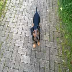 Profilbild