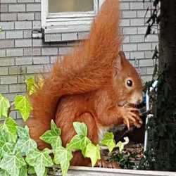 Profilbild von maxe31
